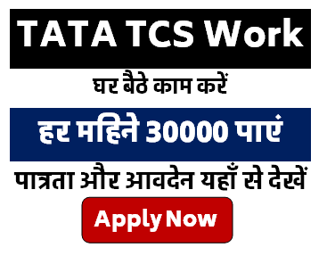 Tata TCS Work From Home Job Details